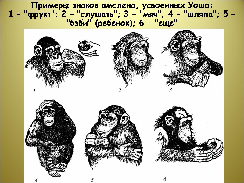 Примеры знаков амслена, усвоенных Уошо:  1 – 